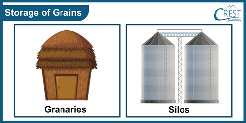 Examples of Storage for Grains - Granaries or Silos