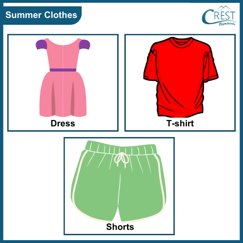 Examples of Summer Clothes - CREST Olympiads