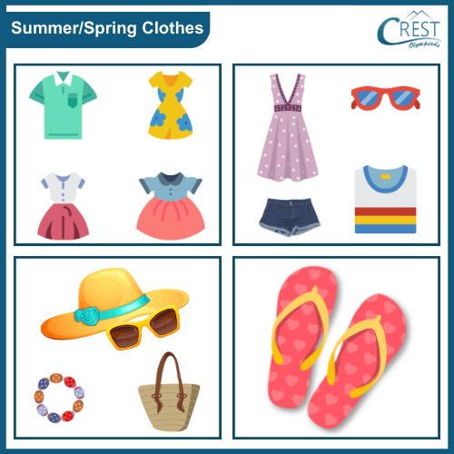 Examples Summer or Spring Clothes