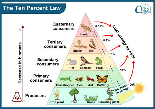 The Ten Percent Law: Definition, Features etc - CREST Olympiads