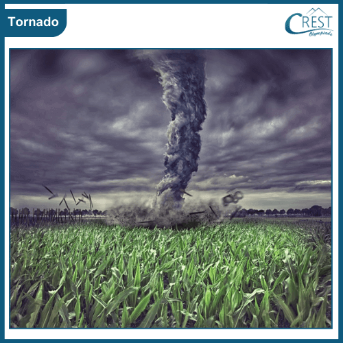 Tornadoes - Formation of Tornado