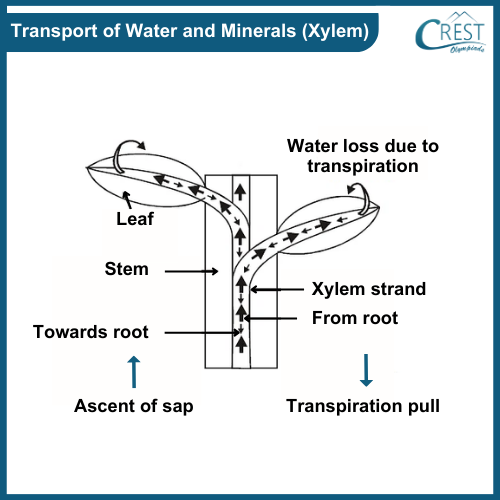 transport-of-food10