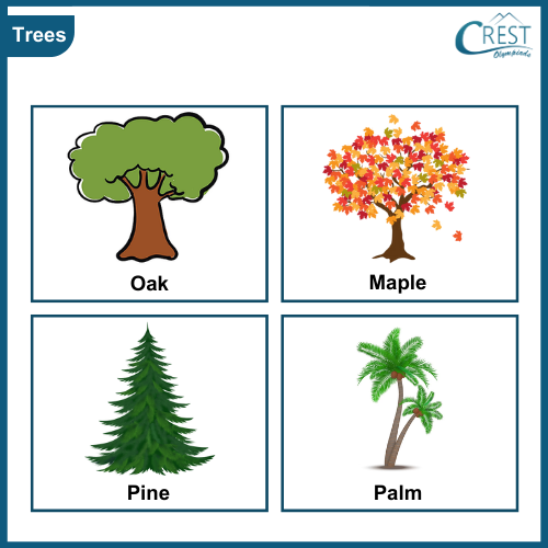 Types of trees