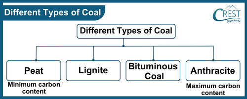 Flow Chart of Different Types of Coal - Science Grade 8