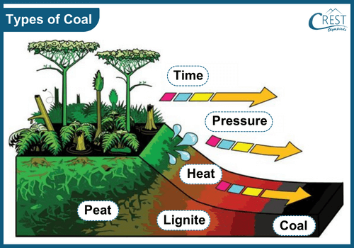 Diagram of Different Types of Coal - Science Grade 8