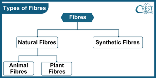 Classification of types of fibres - Science Grade 6
