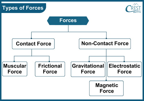 Flow Chart of Different Types of Forces - Science Grade 8