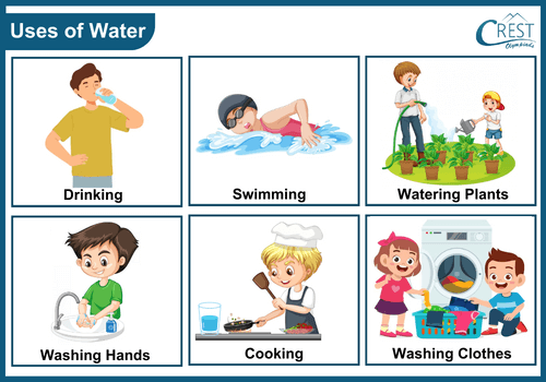 Class 2 Water And Water Cycle Key Concepts Explained Class 2 Water And Water Cycle Key Concepts Explained