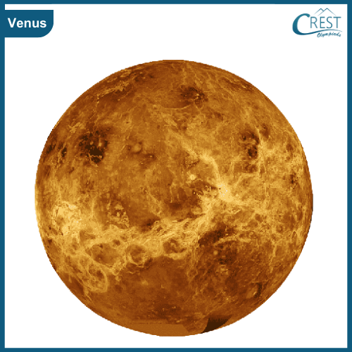 View of Venus Planet