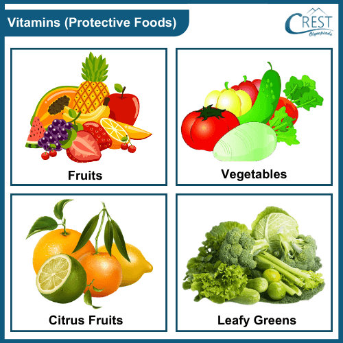 Examples of Protective Foods
