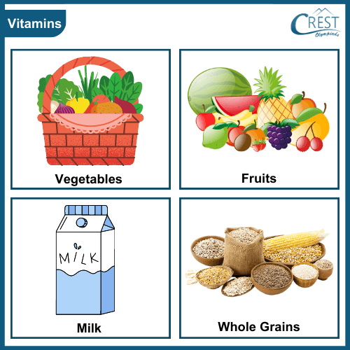 Examples of Vitamin Rich Foods