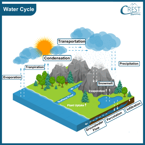 Labelled Diagram of Water-Cycle - Science Grade 7