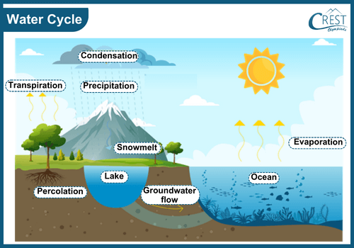 Diagram of Water Cycle - Definition, Overview, Examples etc