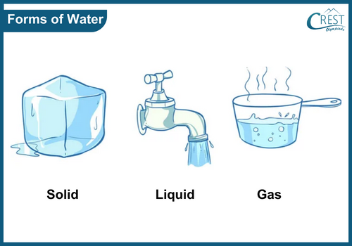 Examples of different forms of Water