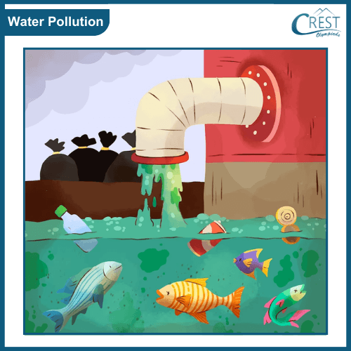 Water Pollution - CREST Olympiads