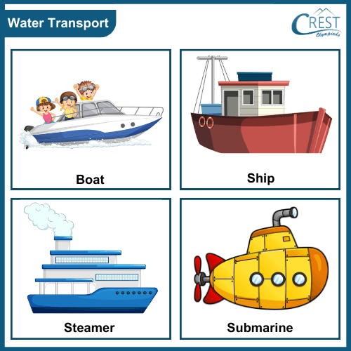different types of Water transport