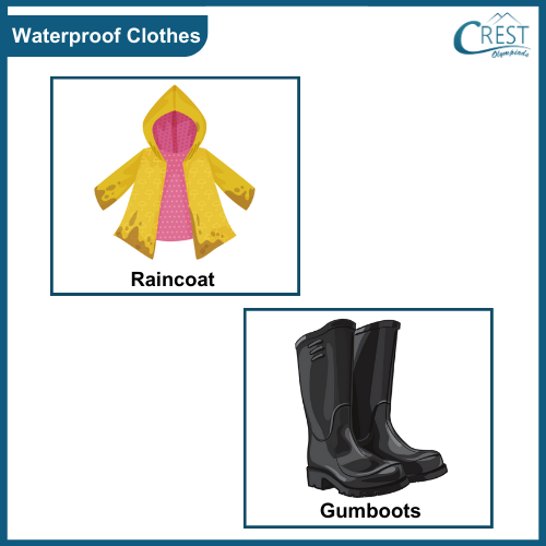 Pictures of Raincoat and Gumboots
