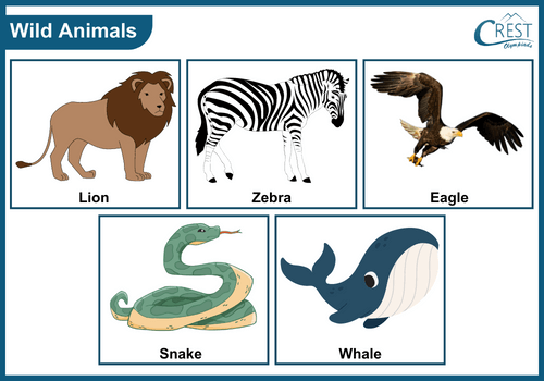 Examples of Wild animals