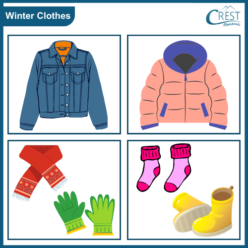 Examples of Winter Clothes