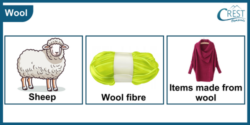 Uses of Wool - Science Grade 6
