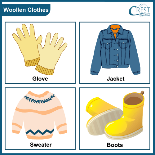 Examples of Woollen Clothes
