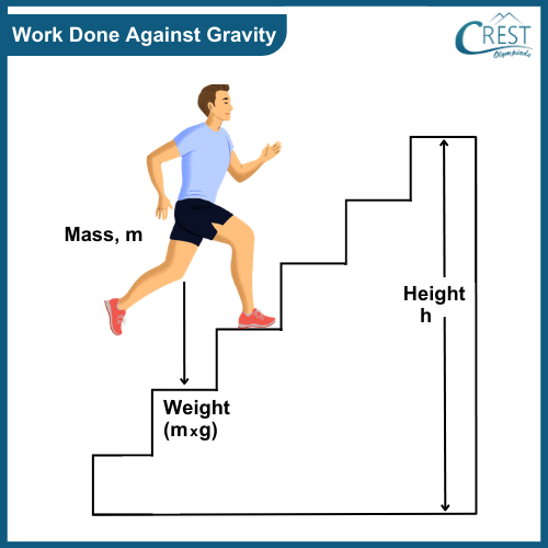 Diagram of Work done against gravity - CREST Olympiads